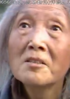 小金迈贵