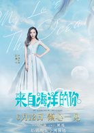 陈美林