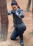 杨卿