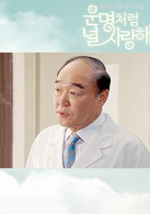张光