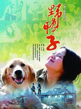 野鸭子