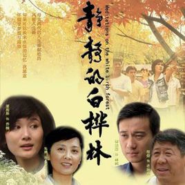 静静的白桦林