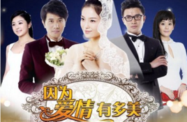 因为爱情有多美