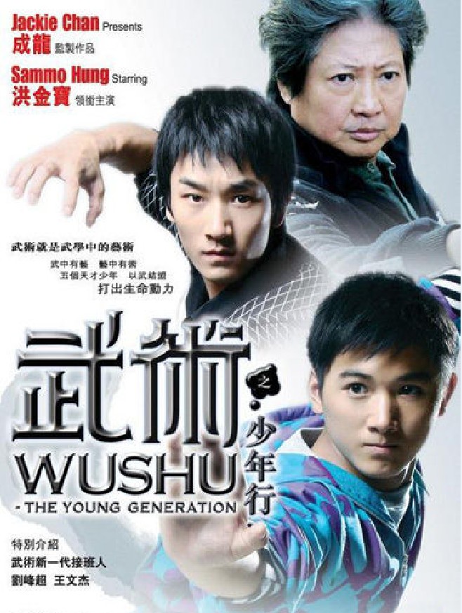 武术之少年行