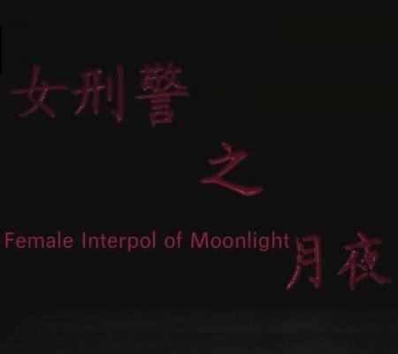 女刑警之月夜
