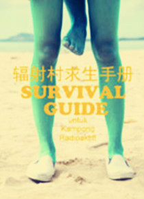 辐射村生存手册