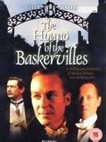 巴斯克维尔的猎犬