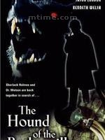 巴斯克维尔的猎犬