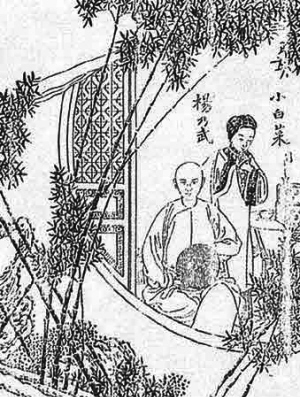 杨乃武与小白菜