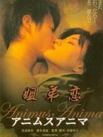 阿尼姆斯阿尼玛