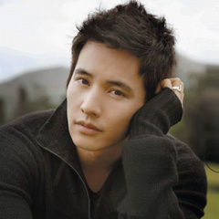 孤胆特工车泰锡