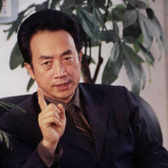 《赤壁Ⅰ》、《赤壁Ⅱ决战天下》荀攸