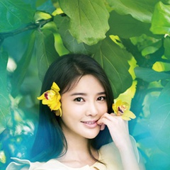 云之锦纳石失/荷叶/锦儿