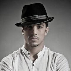 十二生肖九头鸟