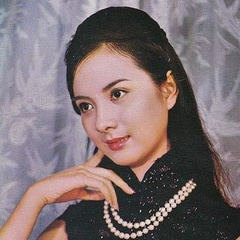 几度夕阳红杨晓彤