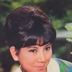 新红楼梦贾宝玉