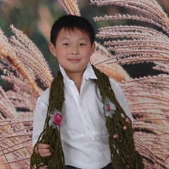 复苏的蝴蝶童年小辉