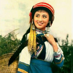 五朵金花副社长金花