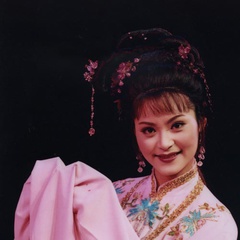 宋朝灰姑娘二当家