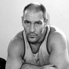 哈利·波特与死亡圣器（上）芬里尔·格雷伯克