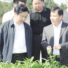 爱情天梯小石山