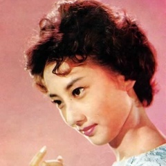 侠骨丹心史红英