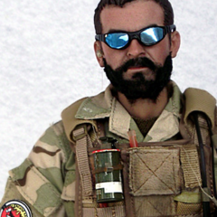 惊天危机副总统艾尔文·哈蒙德