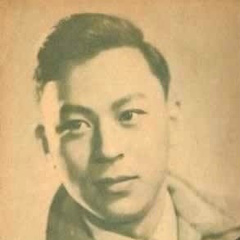 侠骨丹心金逐流