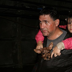 夺命地铁、地铁惊魂、地铁安德烈