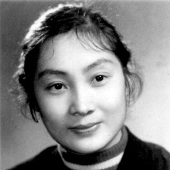 平原游击队翠屏