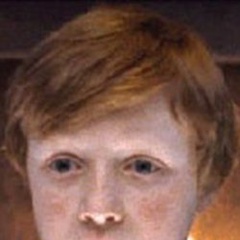 哈利·波特与死亡圣器（上）奈吉尔