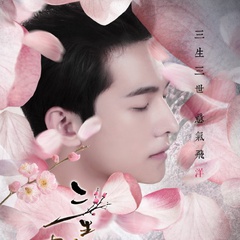 三生三世十里桃花夜华