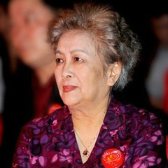 一座城池长江大妈