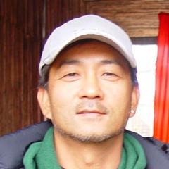 新七龙珠龟仙人