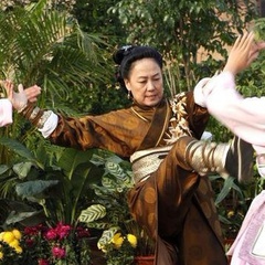 杨门女将之军令如山杨大娘