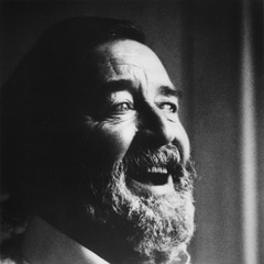 阿拉伯的劳伦斯OfficerwithPipeGazingatLawrence