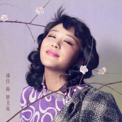 金陵十三钗胖春花