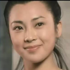 南北少林司马燕