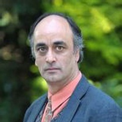 真实的谎言萨利姆