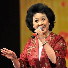 奇袭白虎团崔大嫂