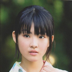 两小无猜海乃珠树