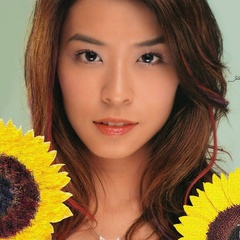 每当变幻时凤姐