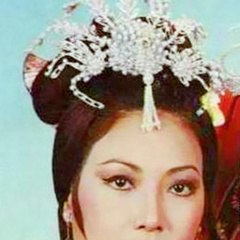 精装追女仔刁太太