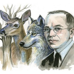 金屋藏娇DavieHucko