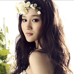 许海峰的枪许海芸