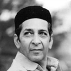 代号猛虎行动AnwarJamalKidwai