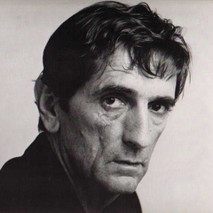 为父寻仇RobertPlath