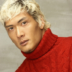 龙珠进化雅木茶