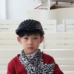 安全感刘辰童年