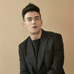 黄金大劫案黑老大